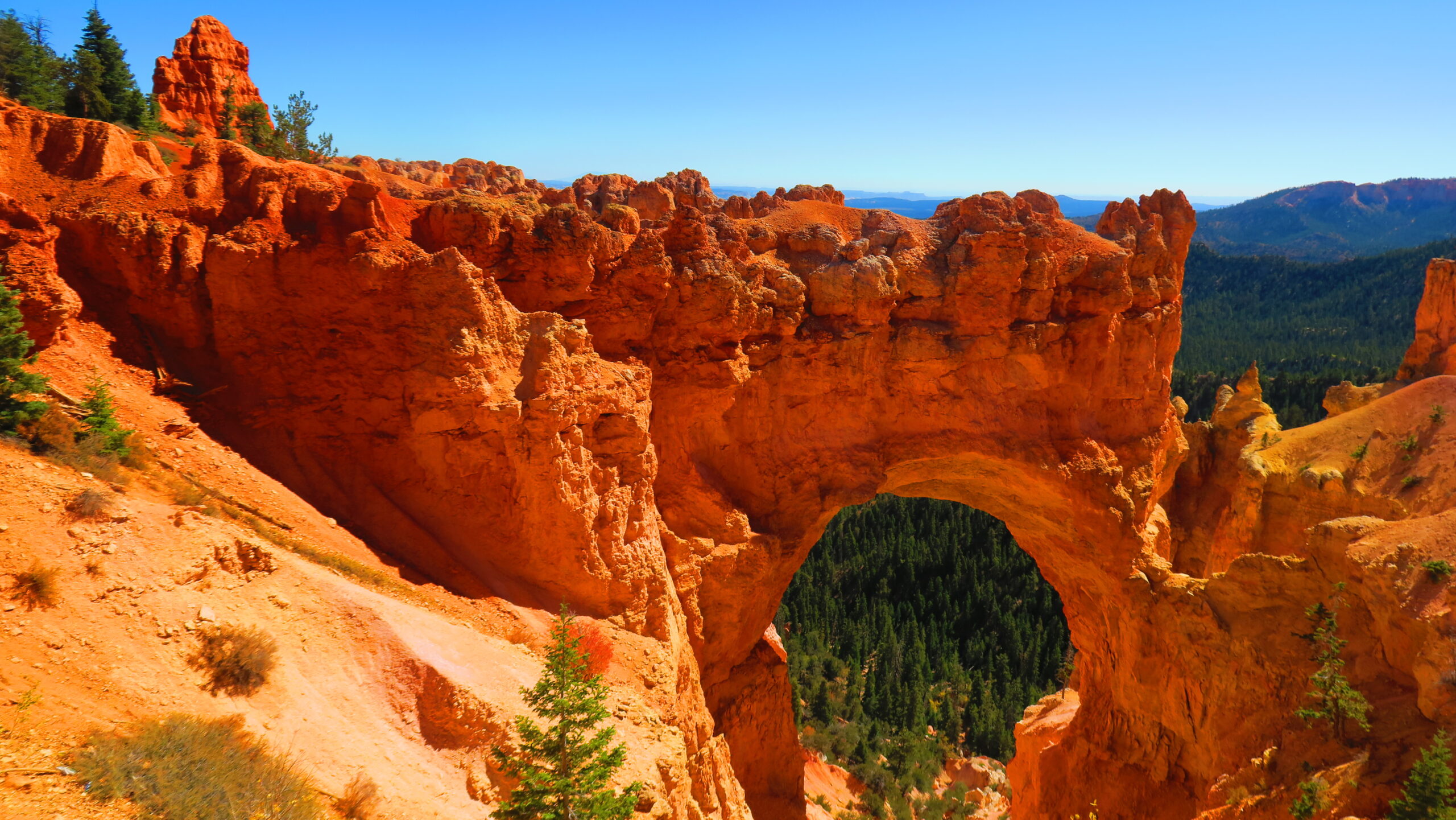 Natural Bridge, Bryce Canyon NP, UT