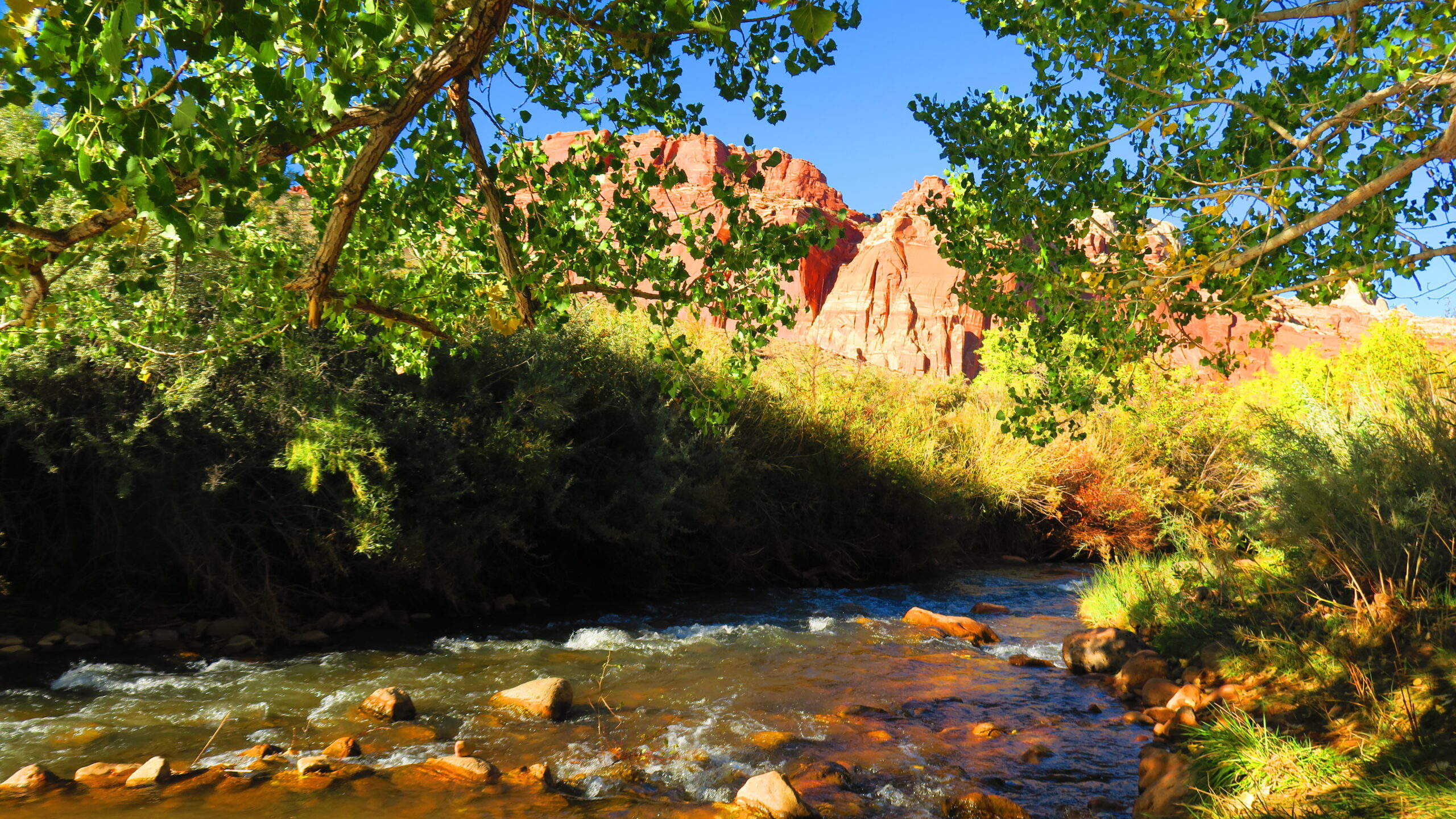 Capitol Reef National Park, Utah